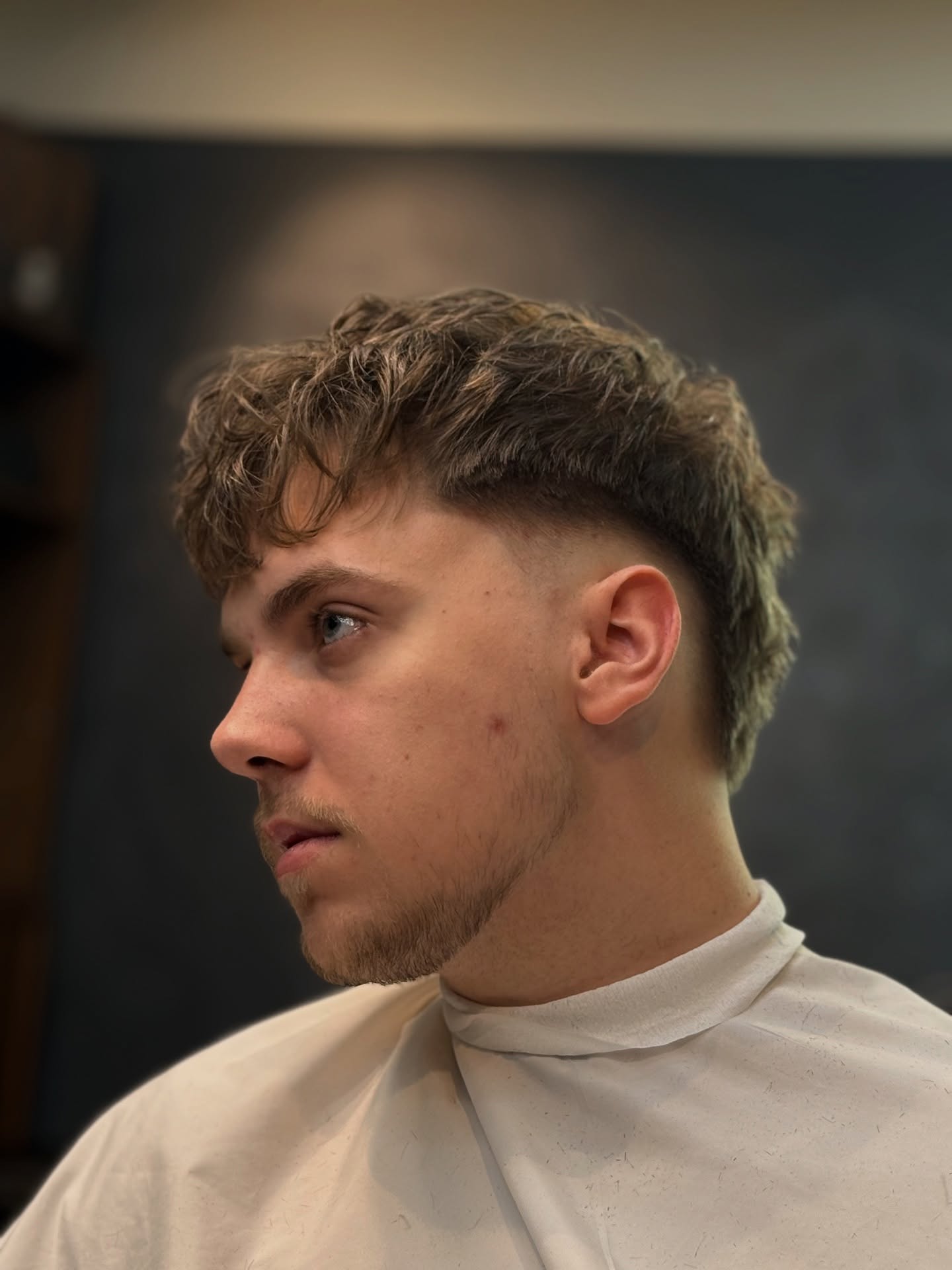 Curly Taper with Natural Texture