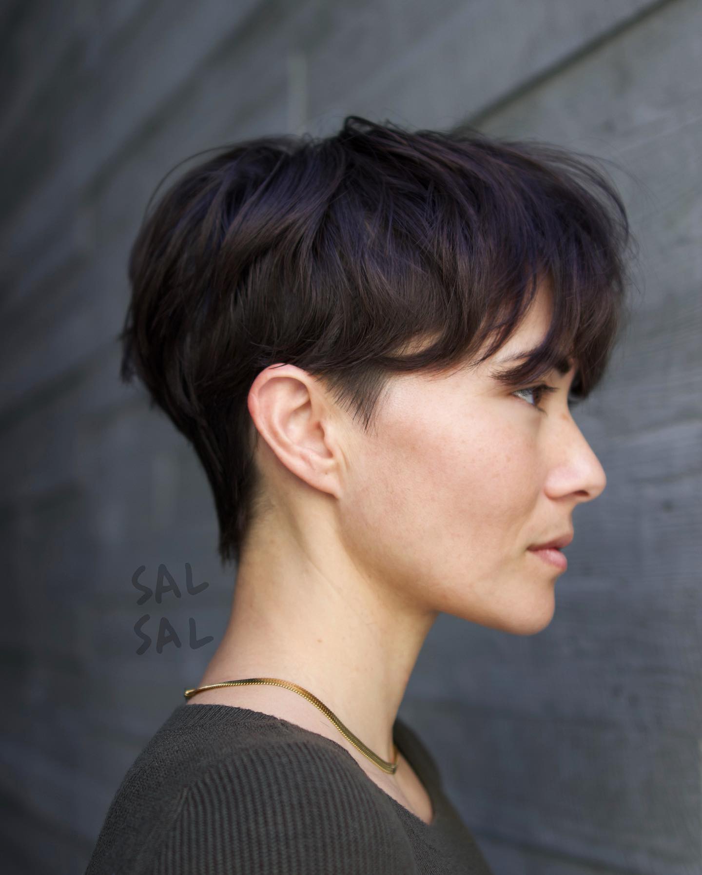 Deep Purple Tinted Asymmetrical Undercut