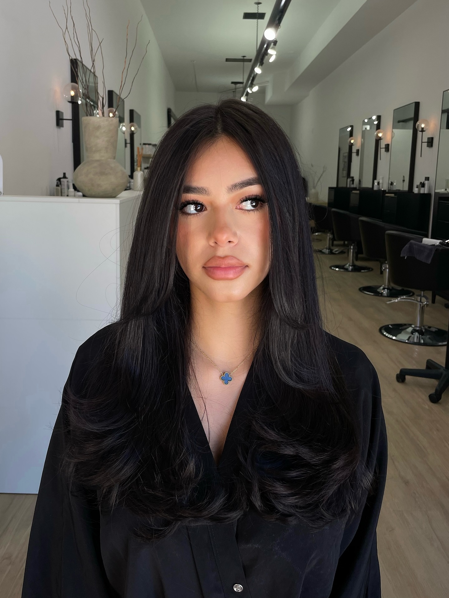 Elegant Dark Layered Waves for Thick Hair