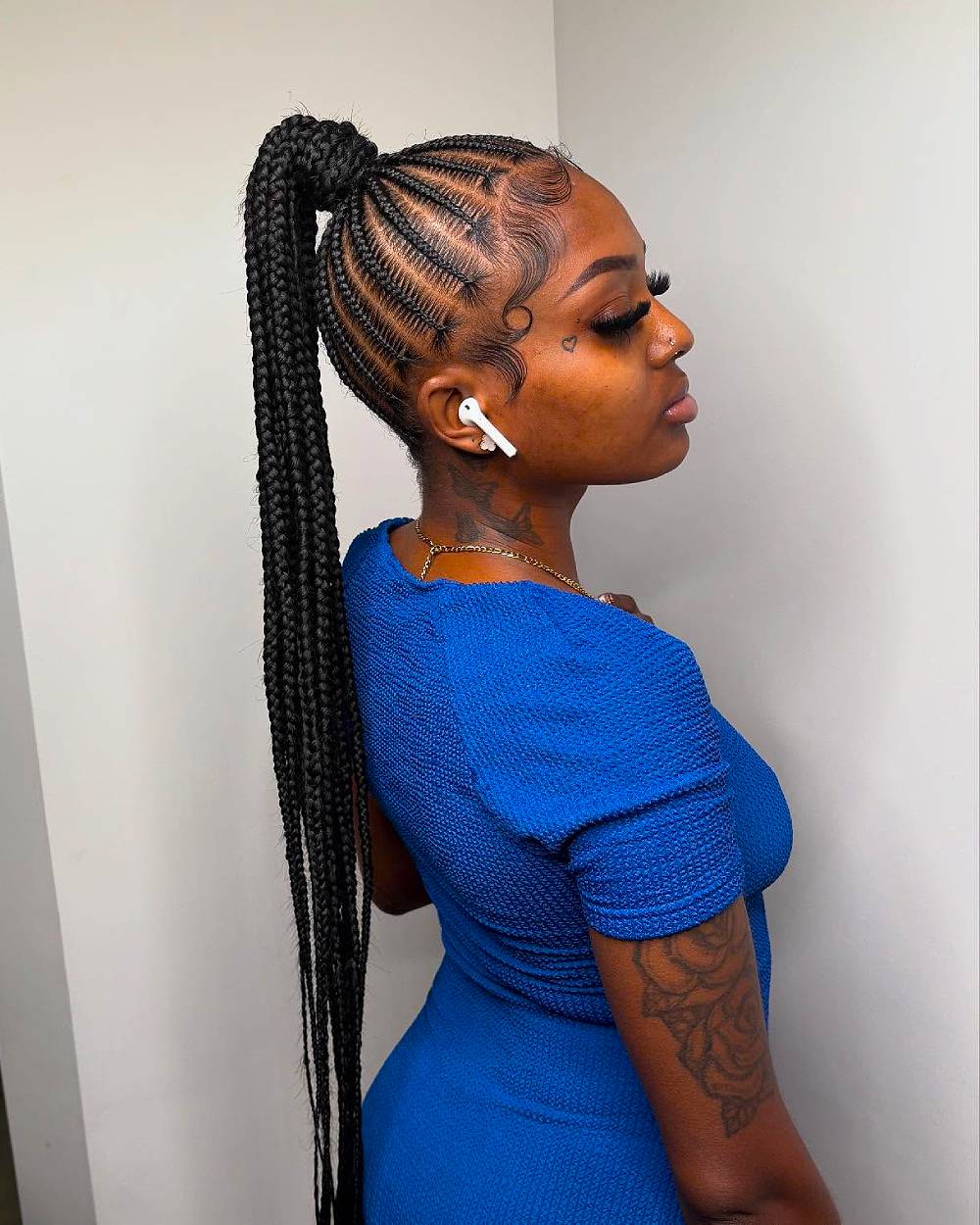 Elegant Long Box Braids in High Ponytail