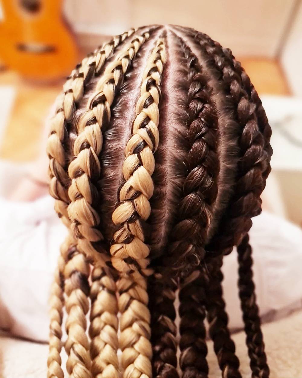 Intricate Twisted Braids with Ombre Highlights