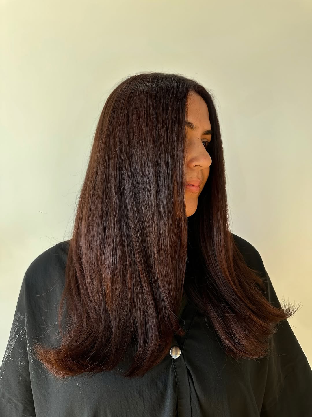 Sleek Reddish-Brown Silk Cut for Medium Hair