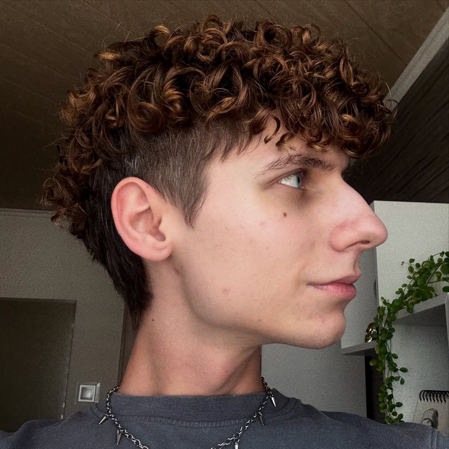 Textured Bronze Curly Crop with Natural Highlights