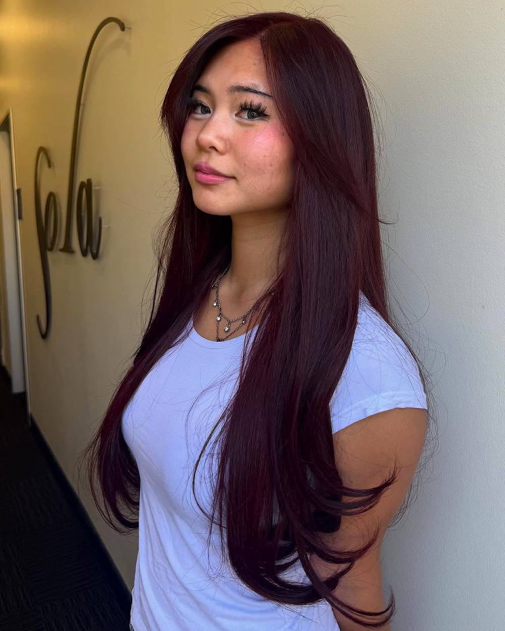 Rich Cherry Chocolate Layers with Subtle Waves