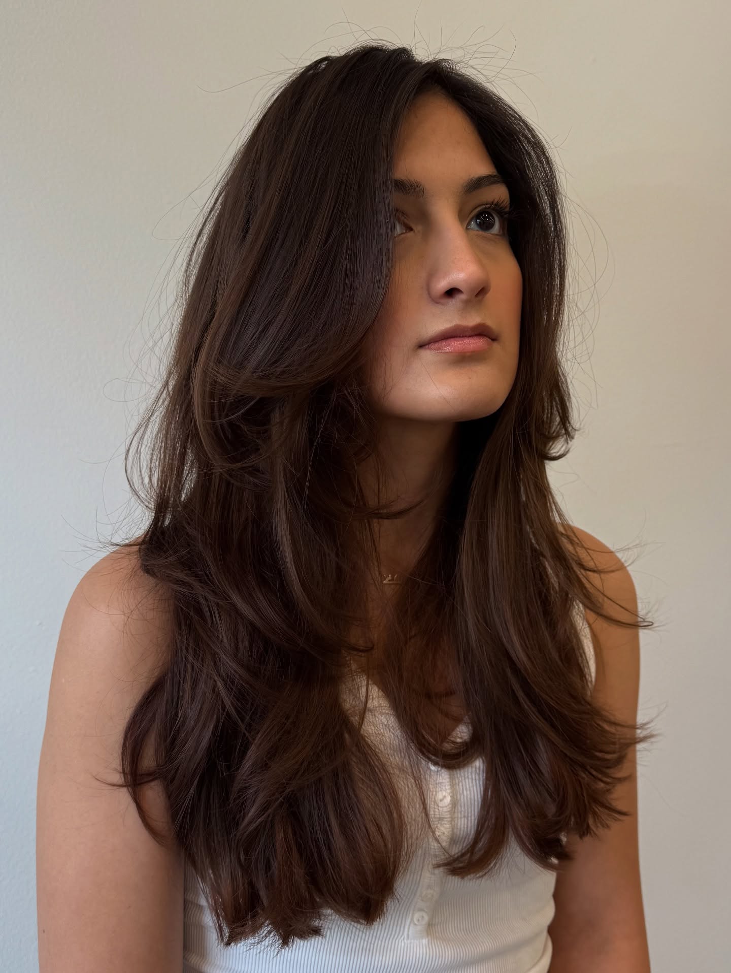 Cabelo castanho rico, longo, em camadas com cachos suaves.