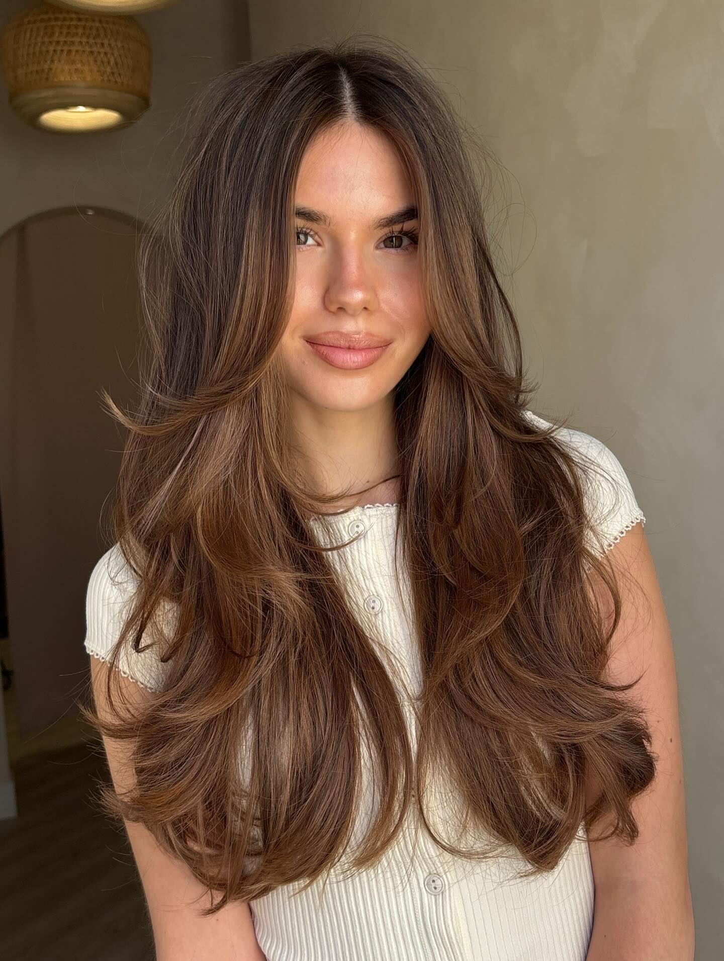 Subtle Chestnut Layers with Face-Framing Highlights