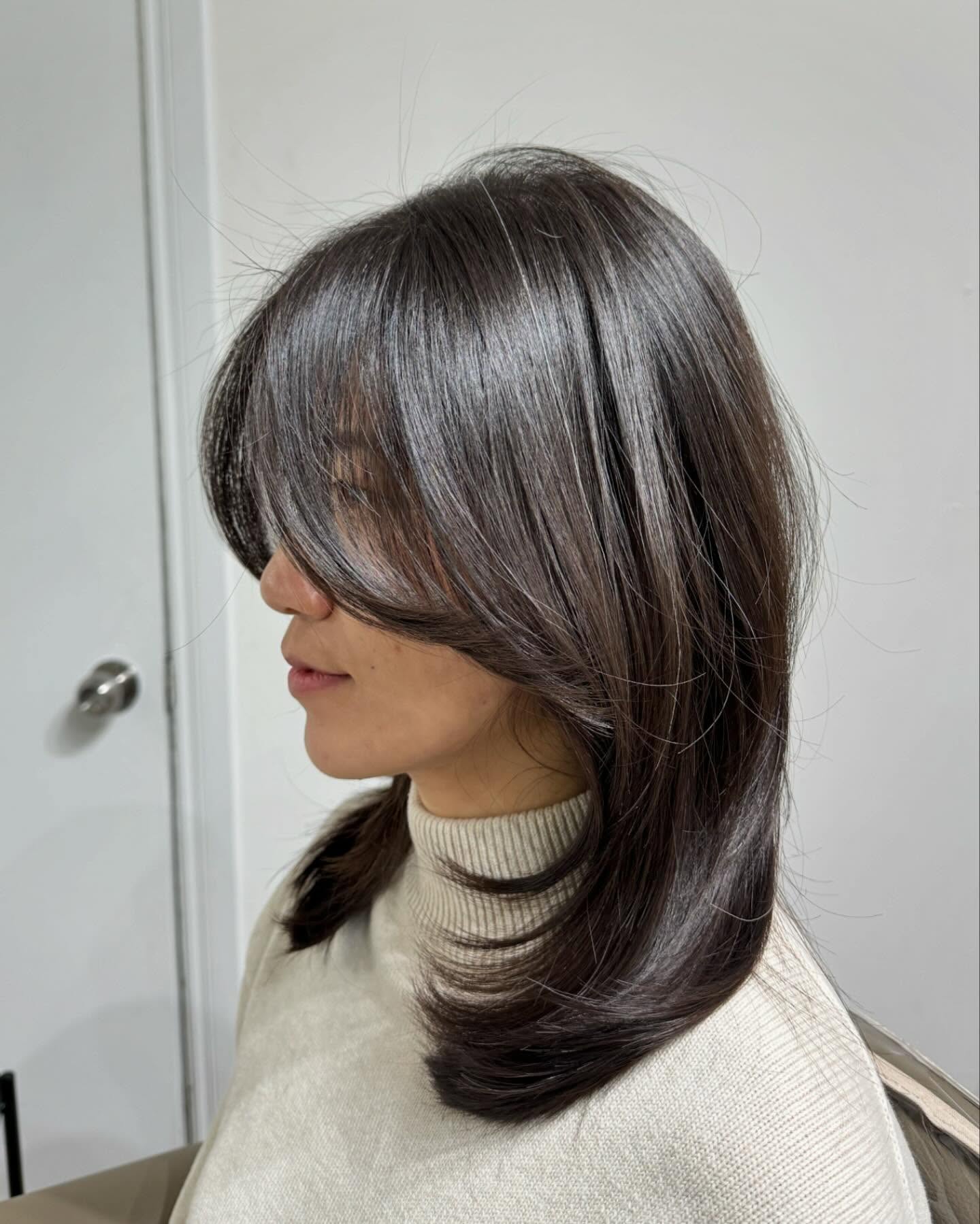 Sleek Silver Layered Cut with Face-Framing Strands
