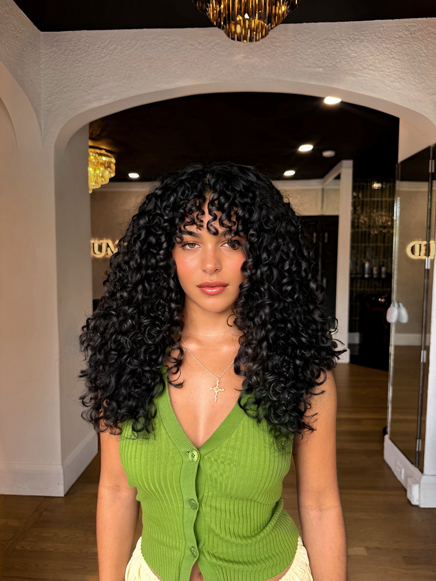 Classic Shoulder-Length Defined Black Curls