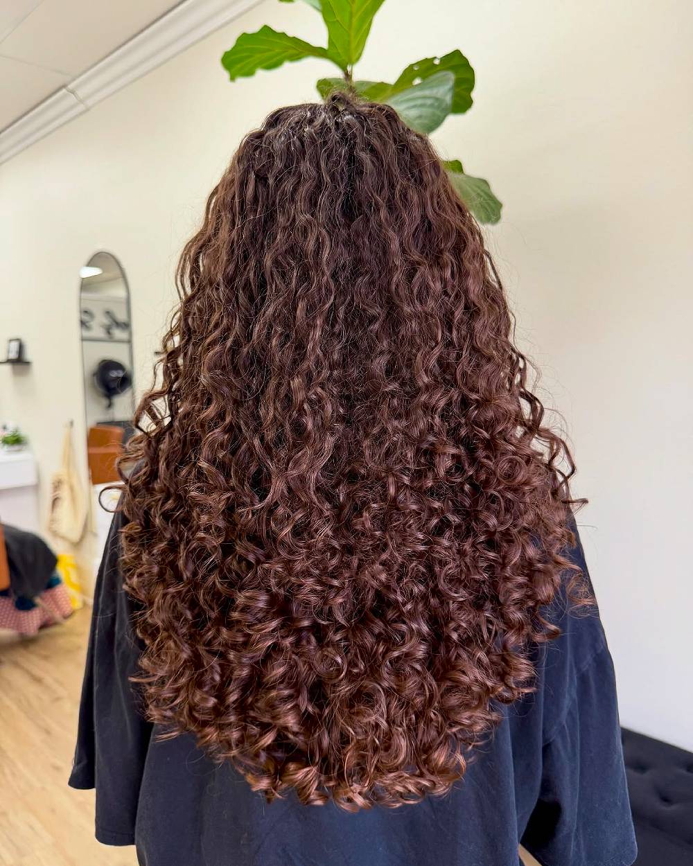 Layered Curly Cascades with Natural Bounce