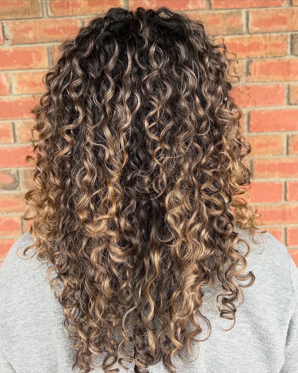 Radiant Curly Layers with Highlights