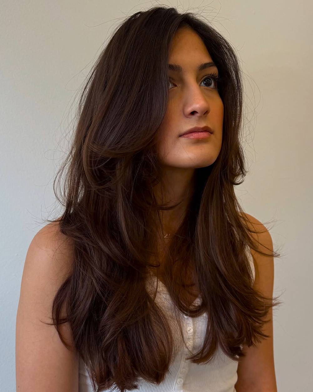 Elegant Long Layered Cut with Natural Movement