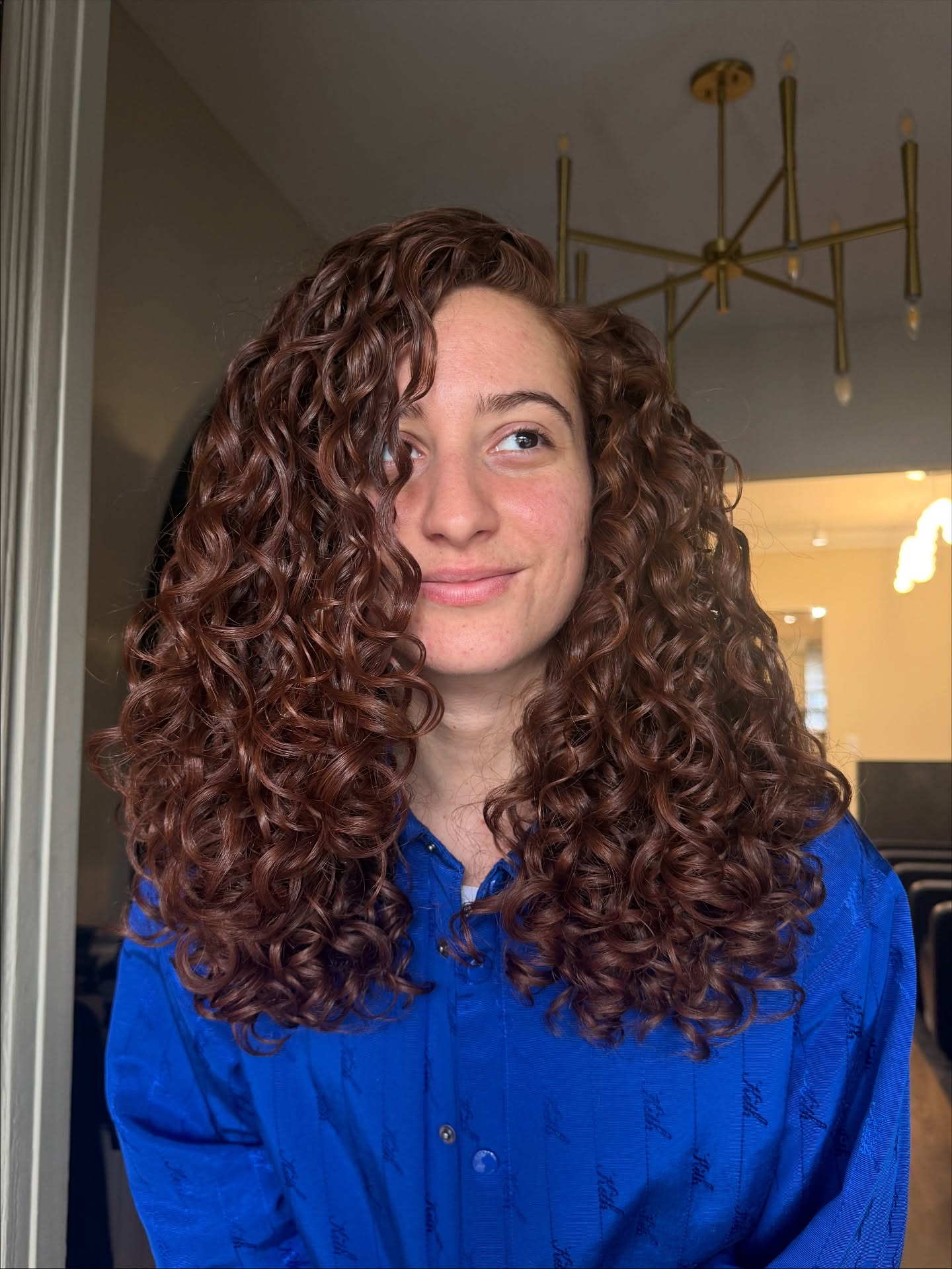 Luxurious Chestnut Ringlets with Defined Curls