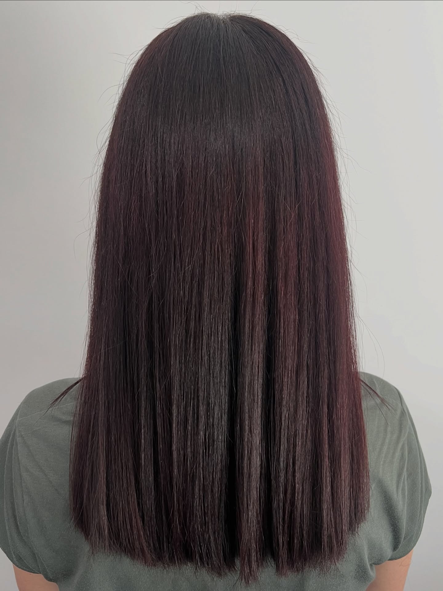 Glossy Straight Hair with Subtle Burgundy Undertones