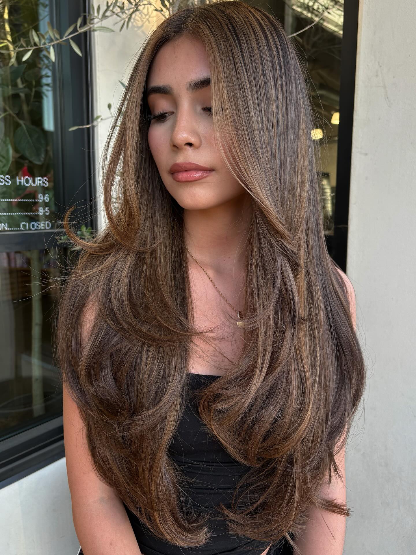Sumptuous Long Brunette Waves with Caramel Accents