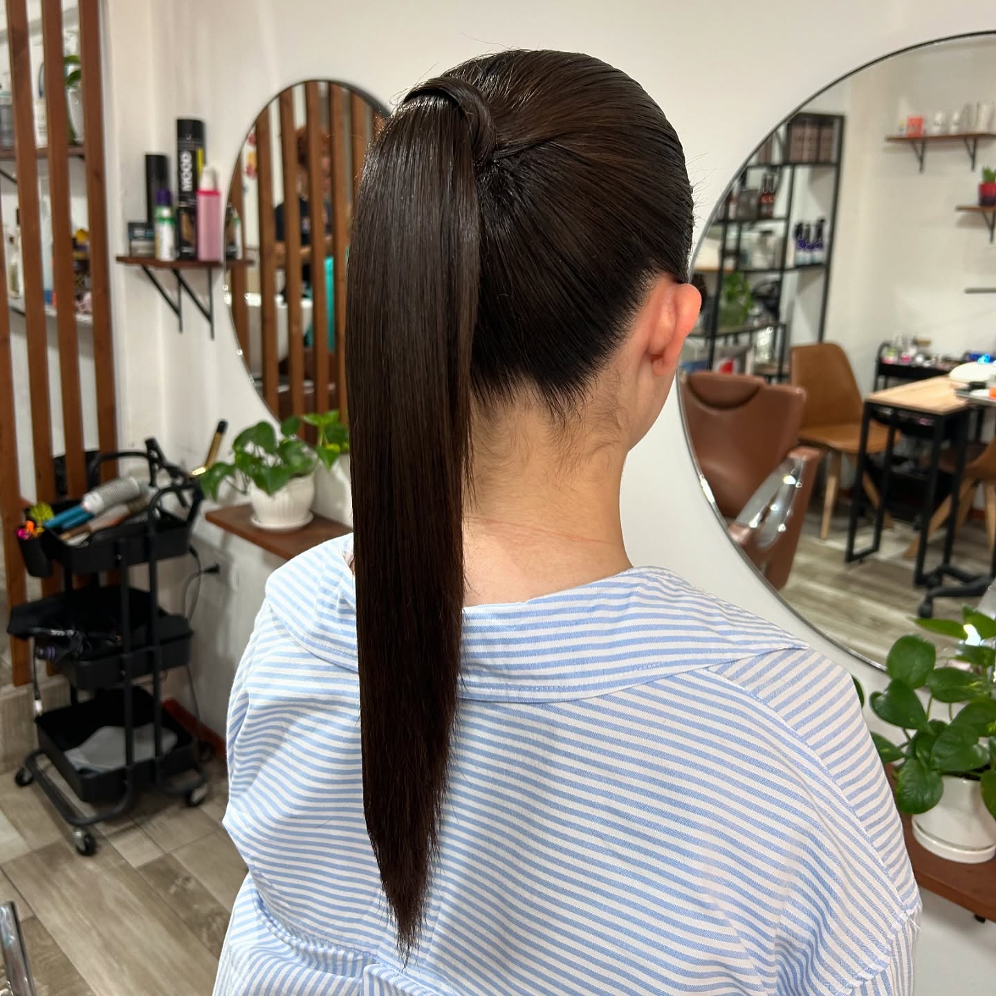 Polished Sleek Low Ponytail with Subtle Texture