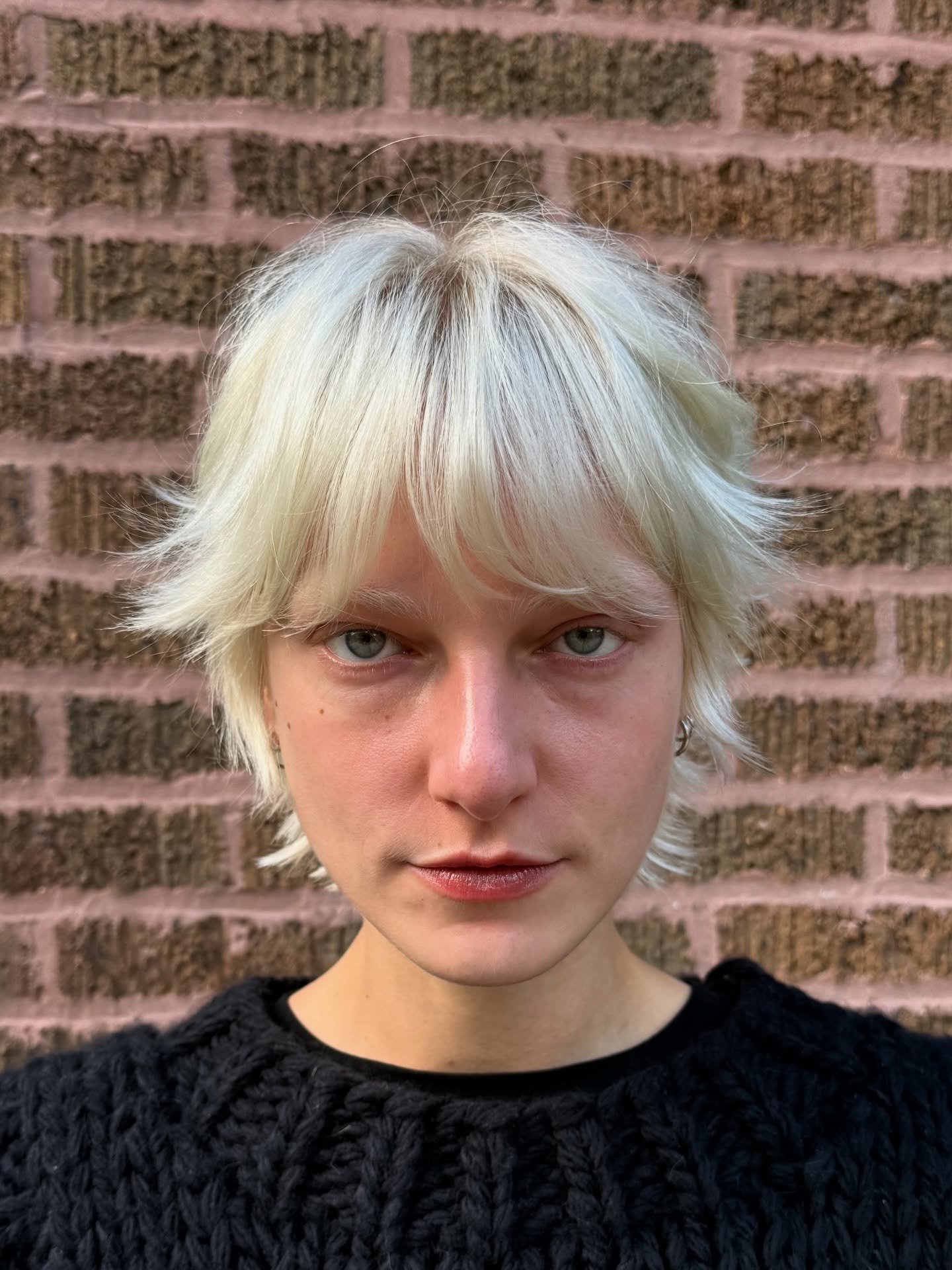 Chic Platinum Wolfcut with Textured Bangs