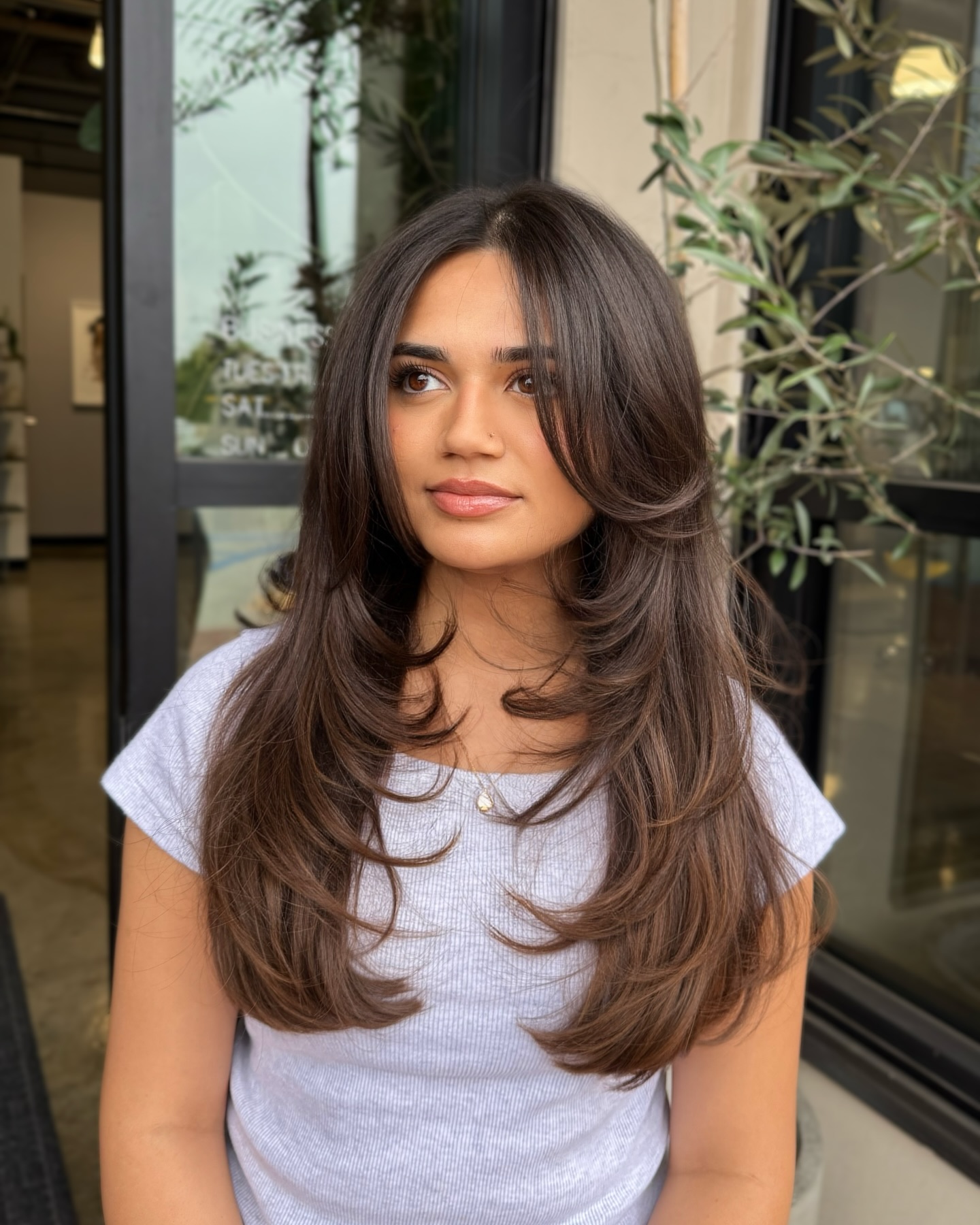 Lustrous Brunette Layers with Chic Feathering