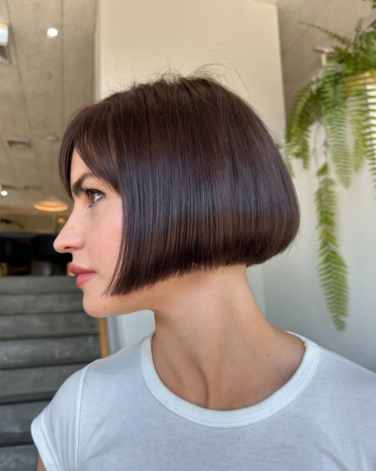 Sleek Chestnut Bob with Precision Cut Fringe