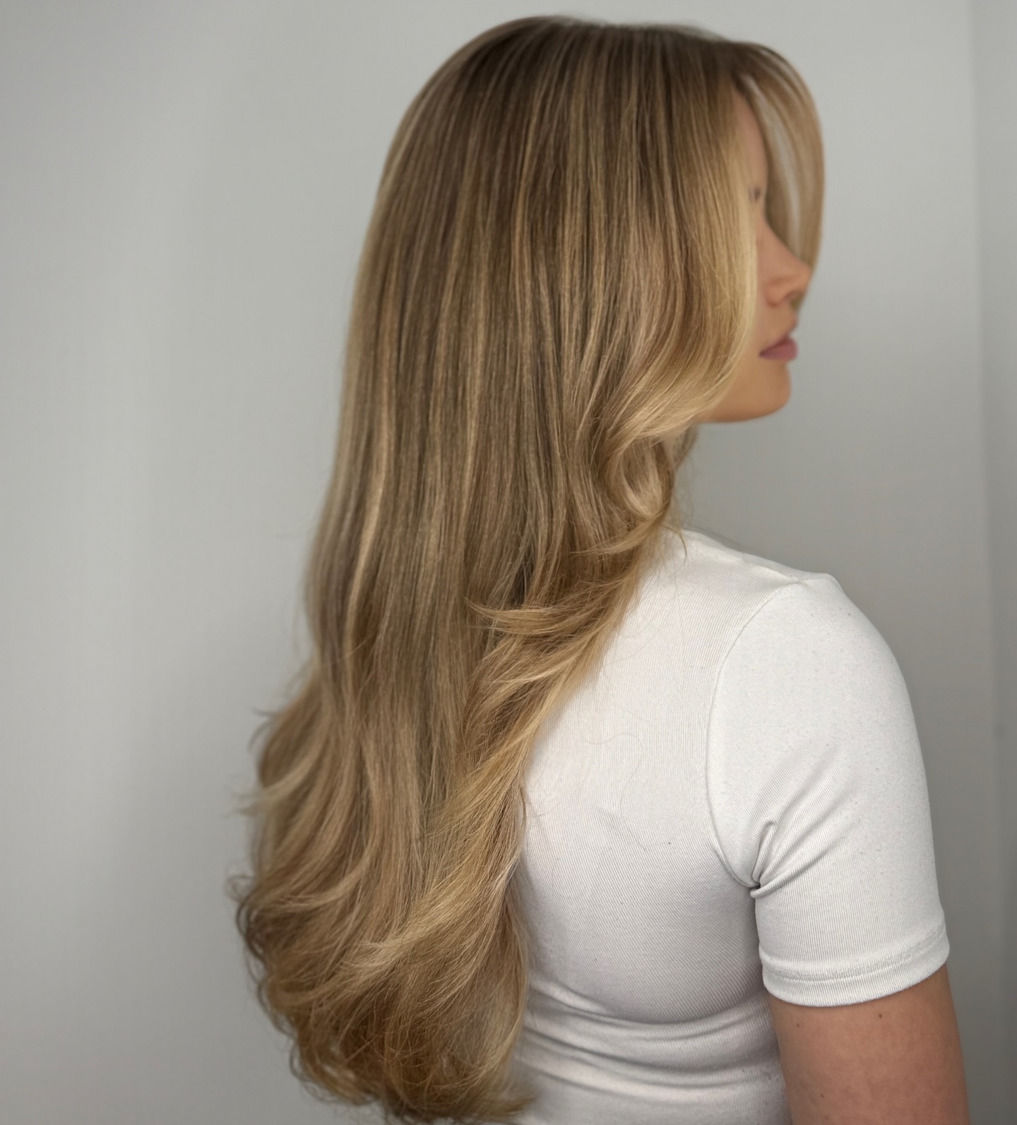 Silky Smooth Layered Cut with Cool Ash Tones