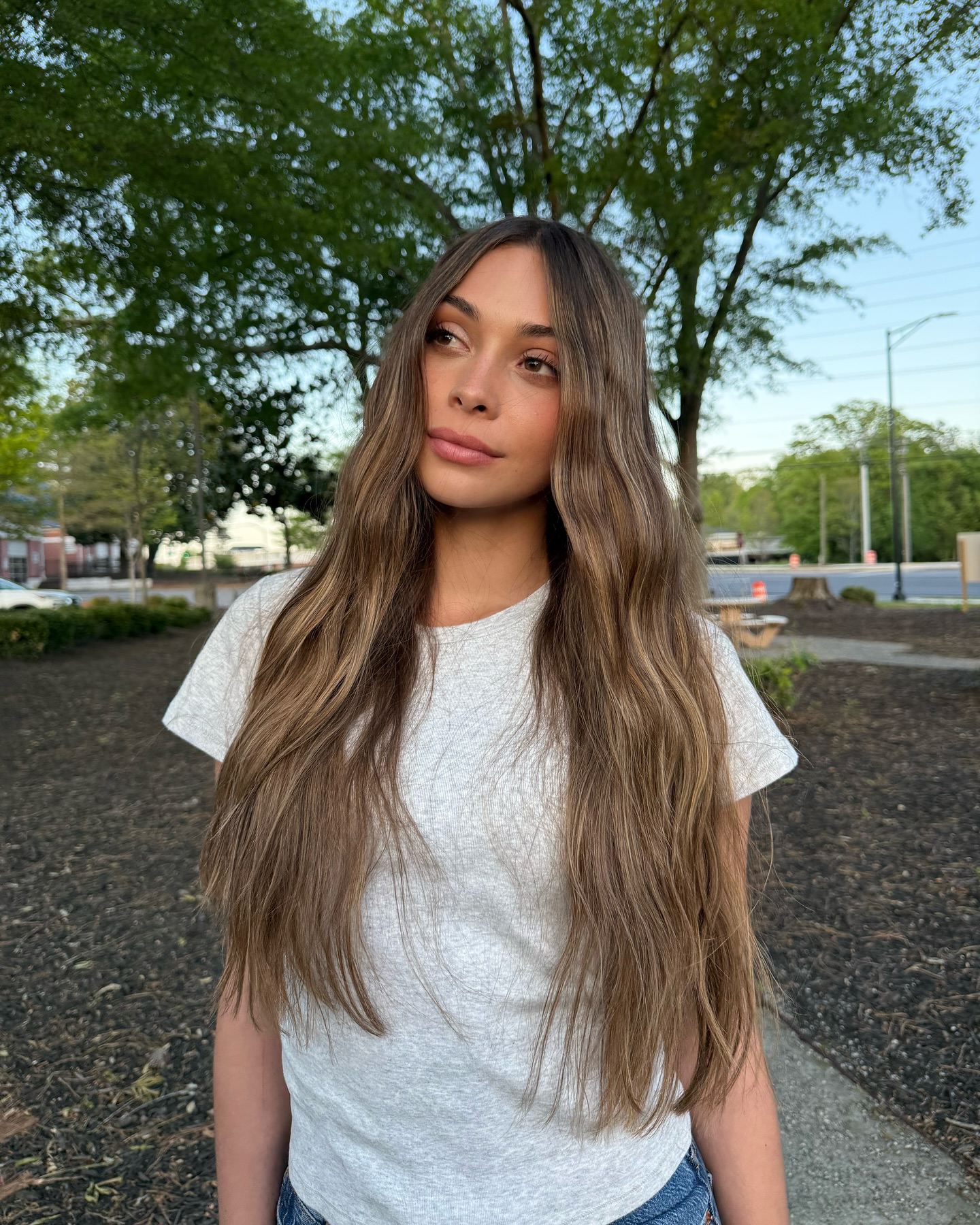 Subtle Chestnut Ombre with Seamless Layers