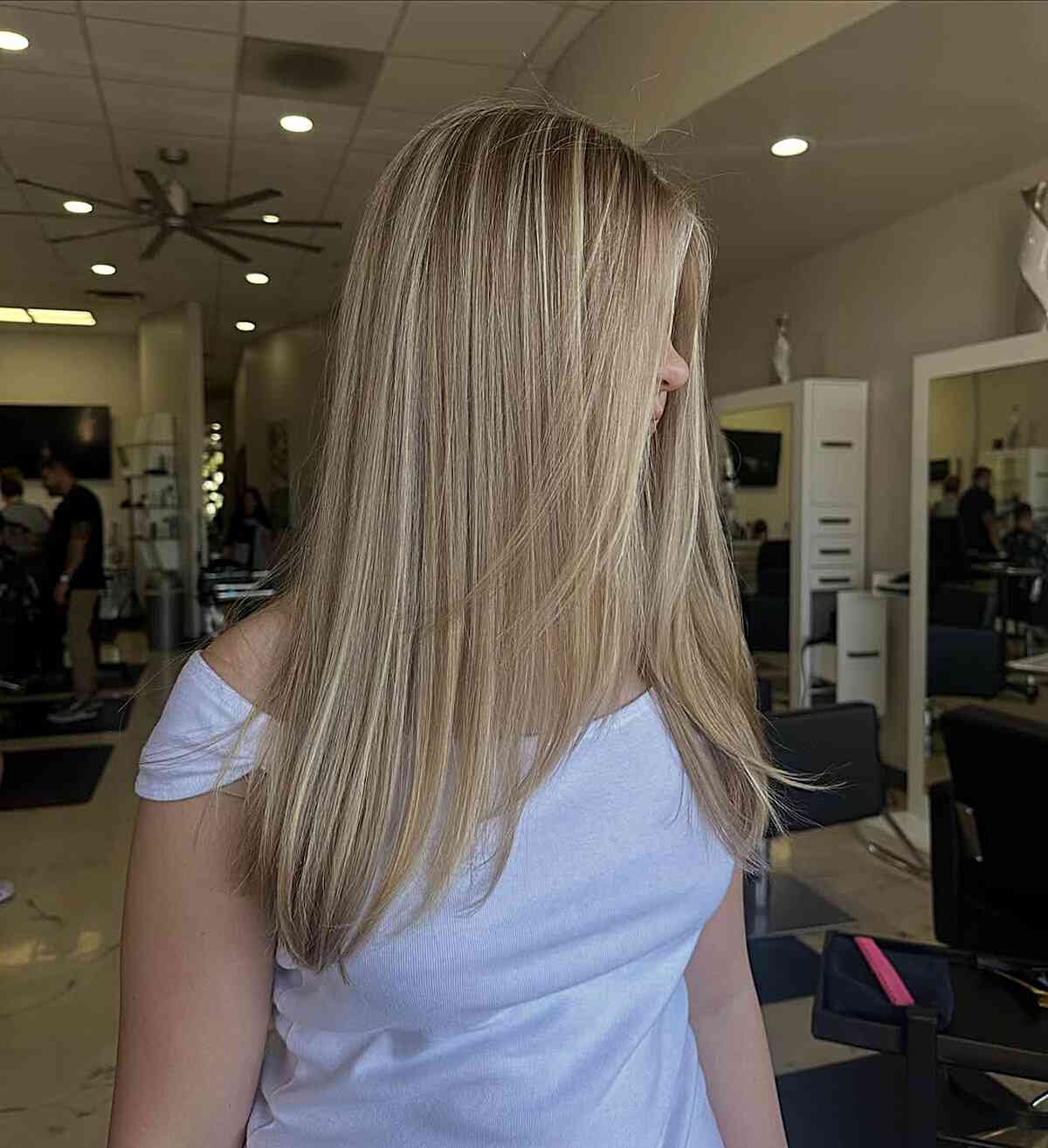Long Straight Hair with Subtle Layers