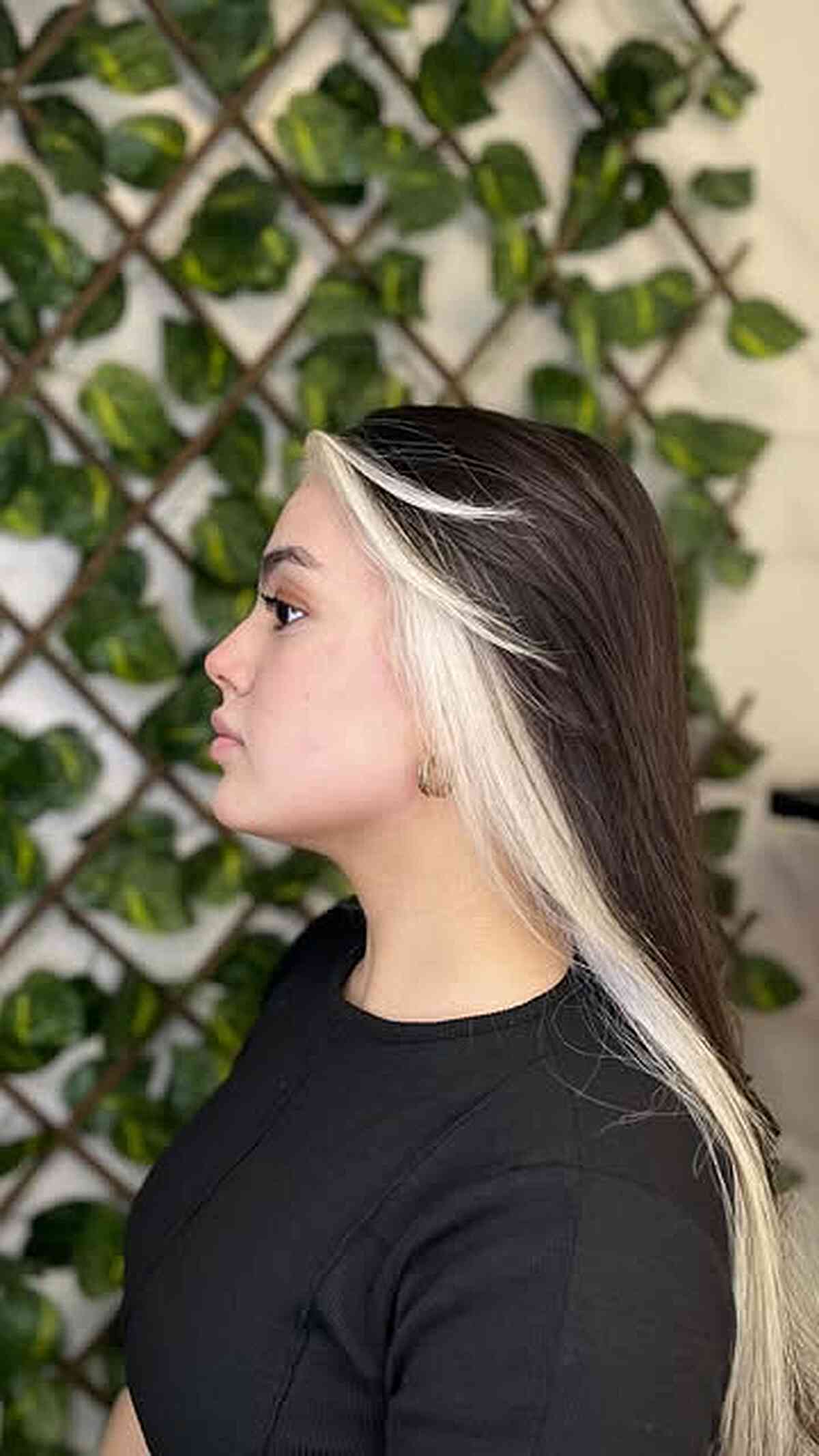 Stylish Dark Hair with Platinum Highlights