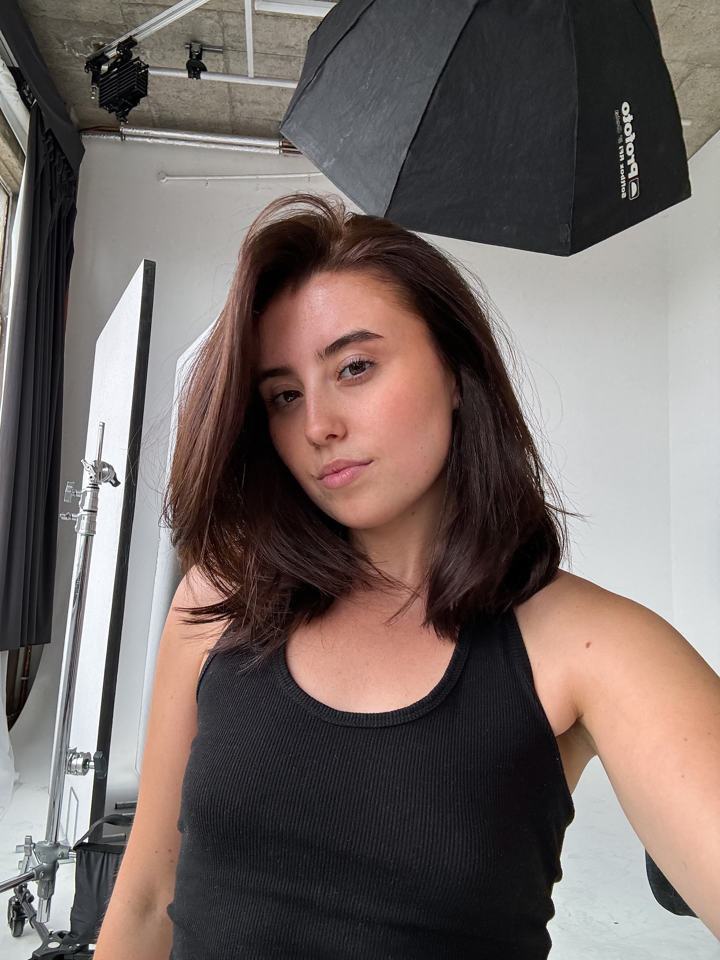 Modern Chestnut Bob with Dynamic Movement