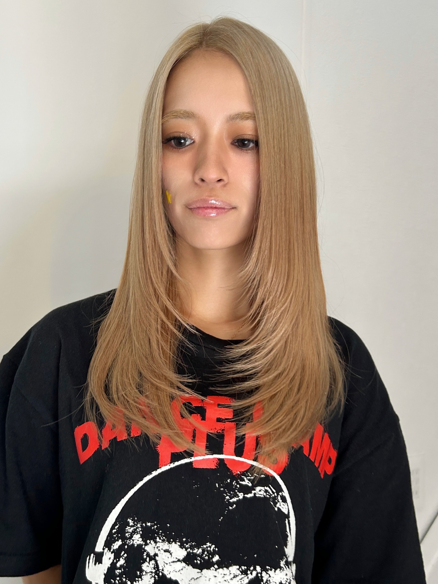 Polished Sleek Blonde Cut with Soft Layers