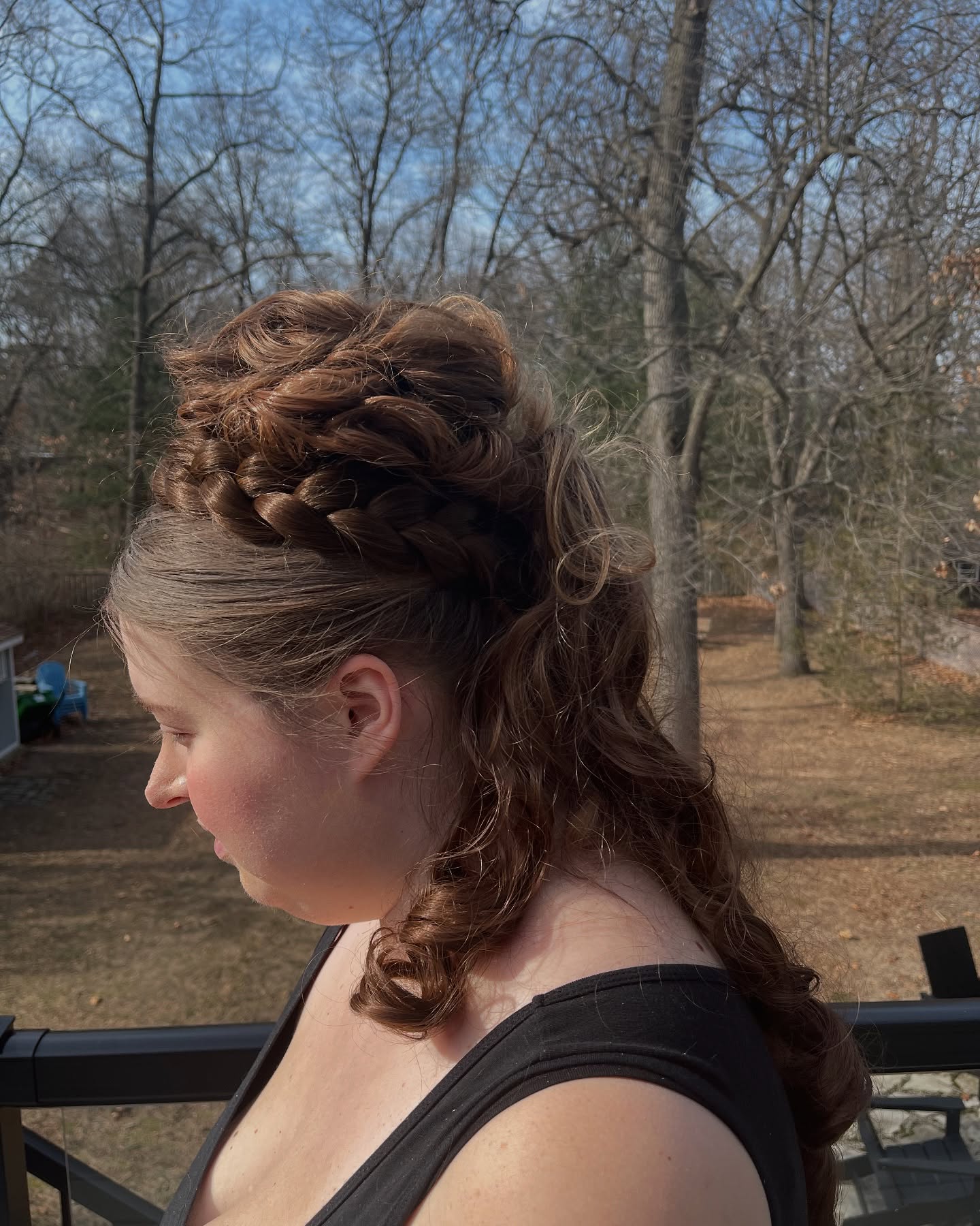 Regal Victorian Twisted and Braided Upstyle