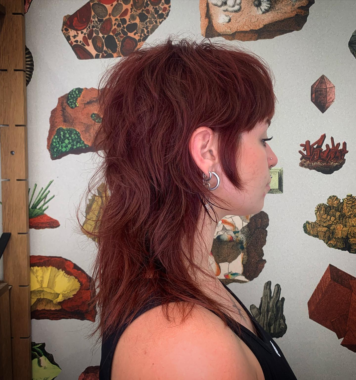 Choppy Raspberry Mullet with Textured Layers
