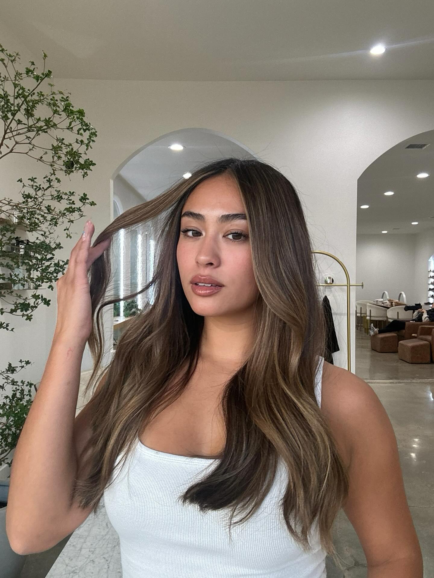 Sumptuous Chestnut Waves with Balayage Accents