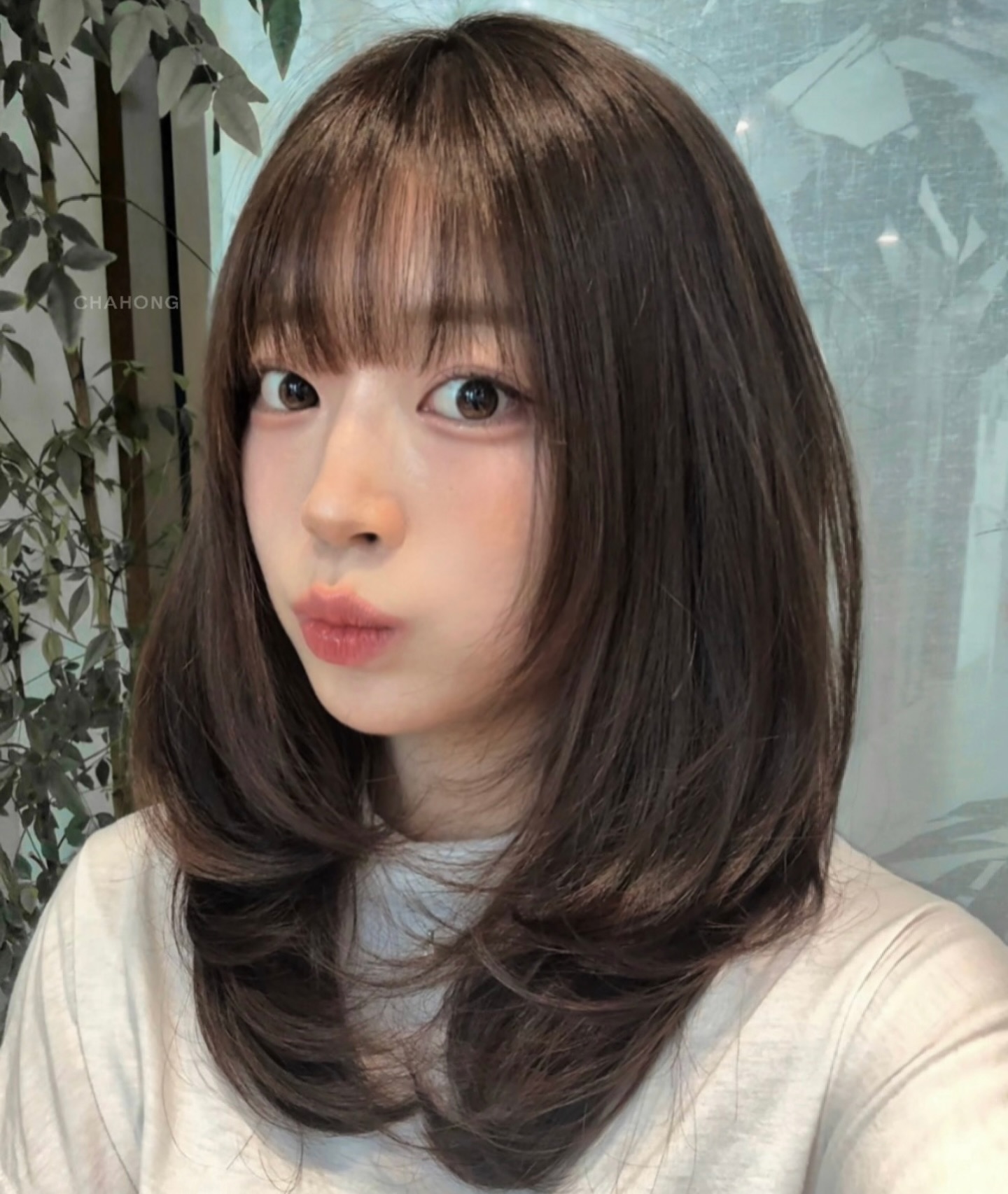 Brunette Swirls with Blended Bangs
