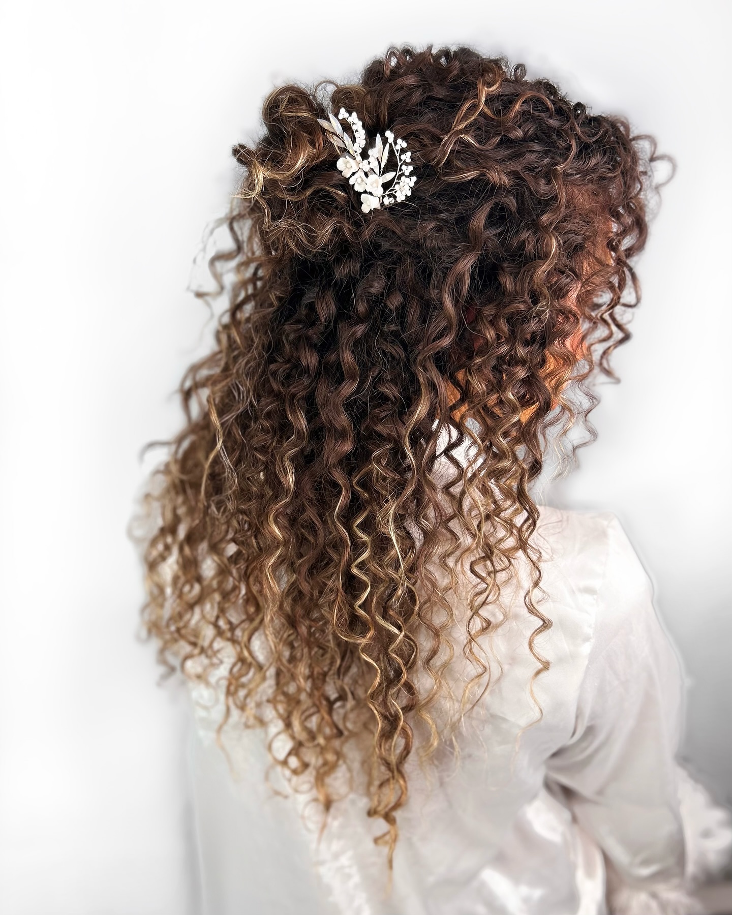 Luxurious Multi-Toned Curly Half-Up with Crystal Clip