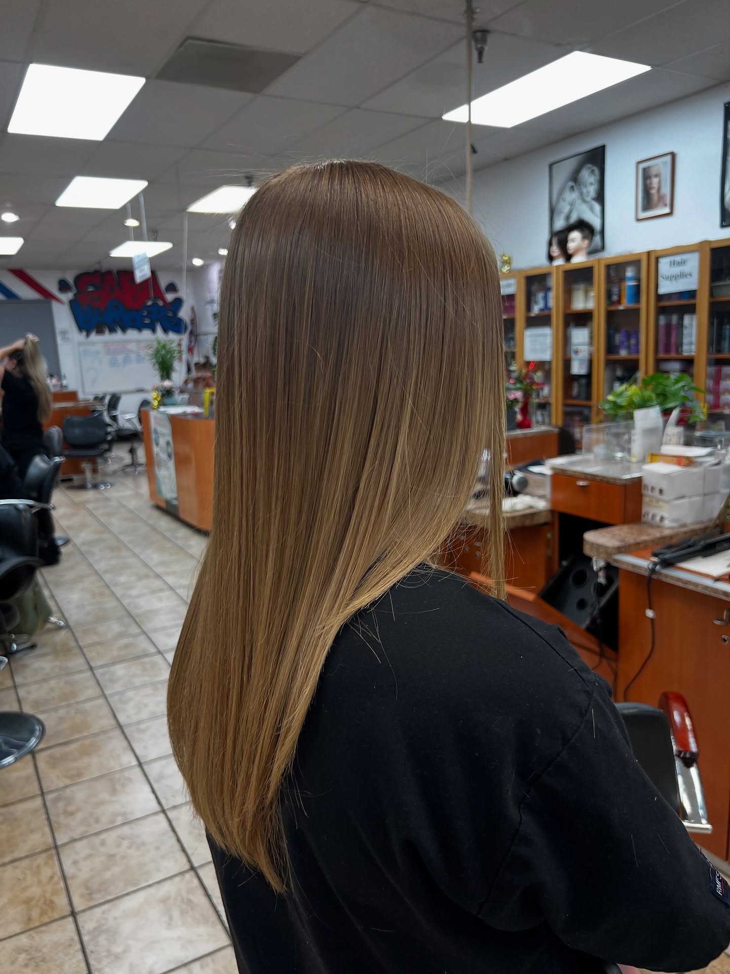Sleek Long Hair with Subtle Warm Highlights