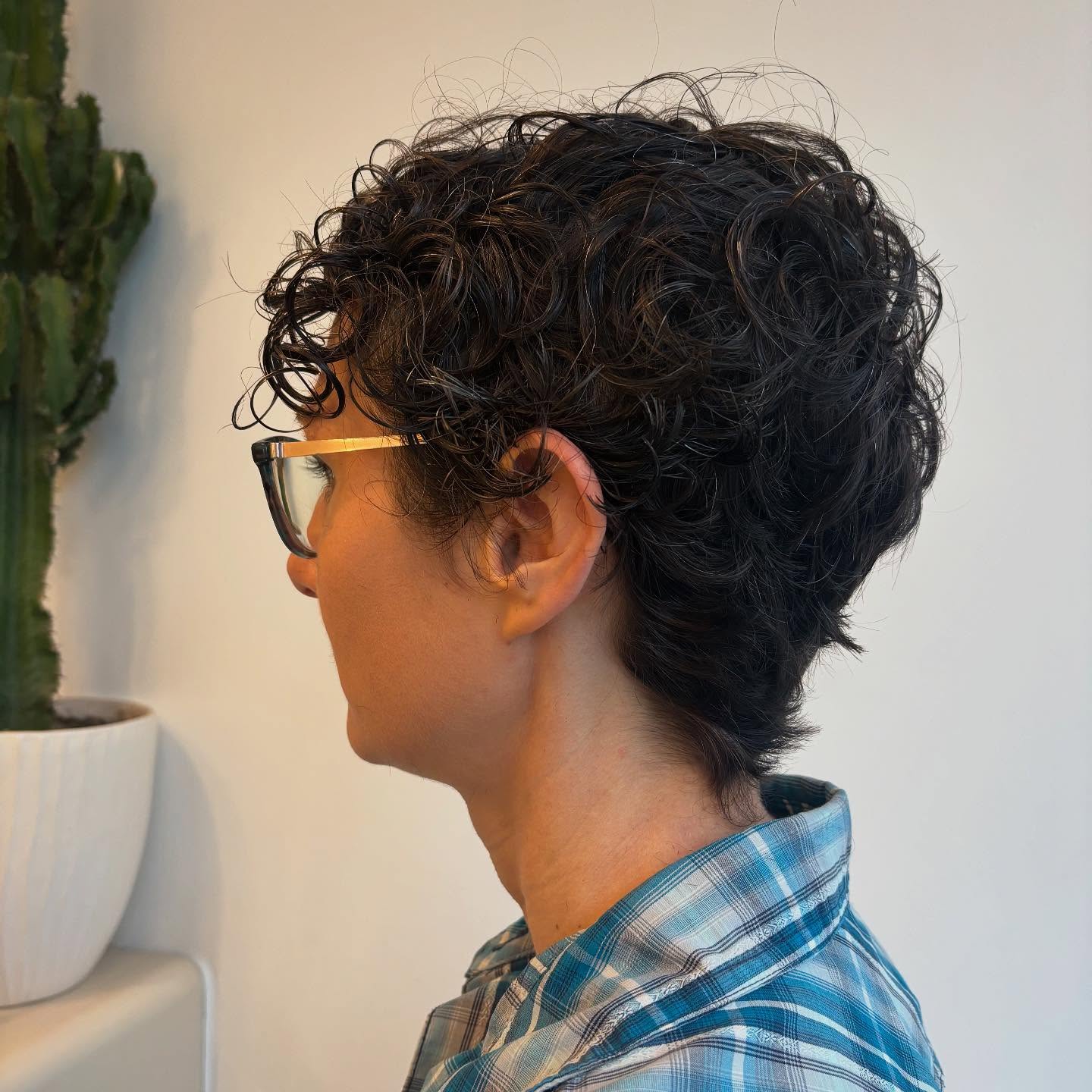 Modern Curly Pixie with Defined Curls