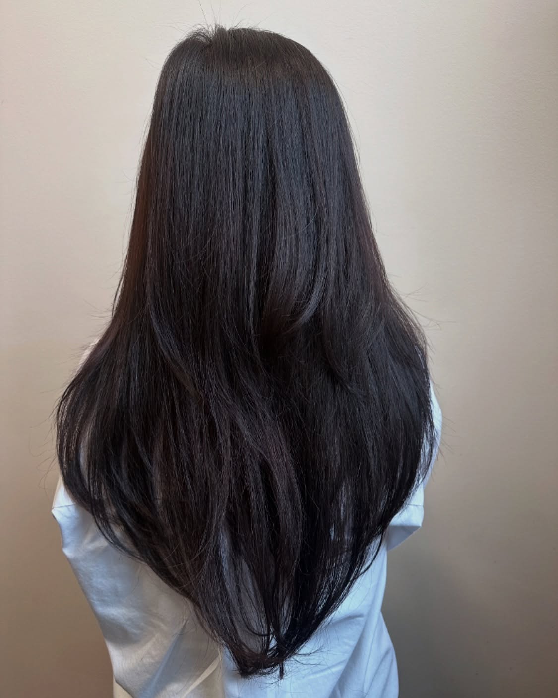 Sleek Long Layered Cut with Subtle Movement