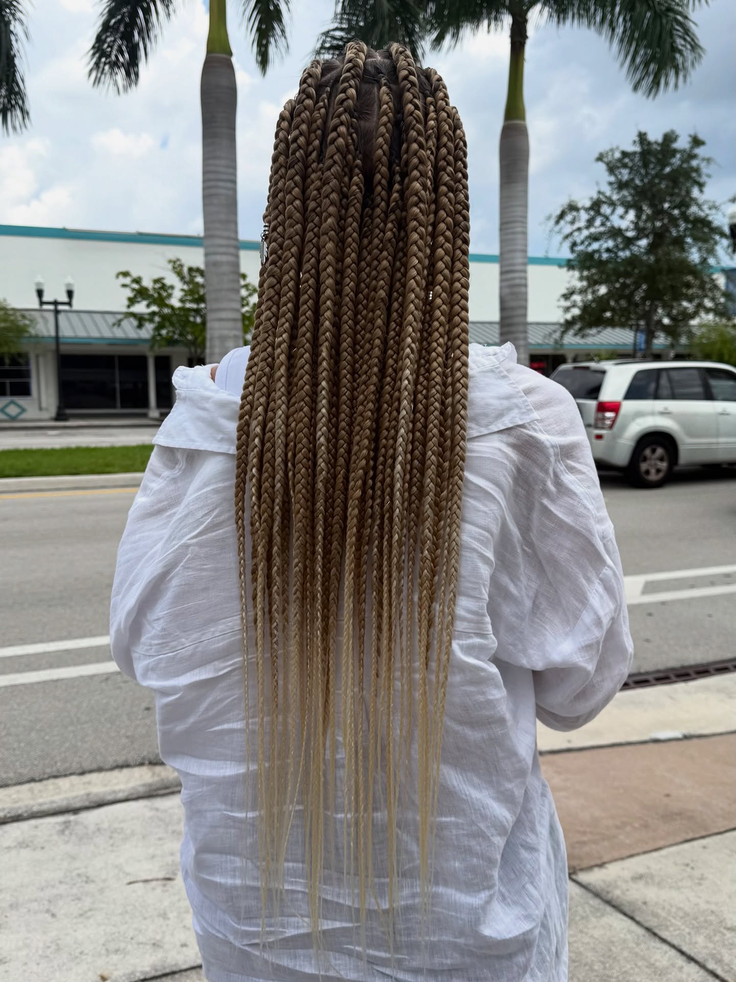 Stylish Long Goddess Braids with Subtle Ombre