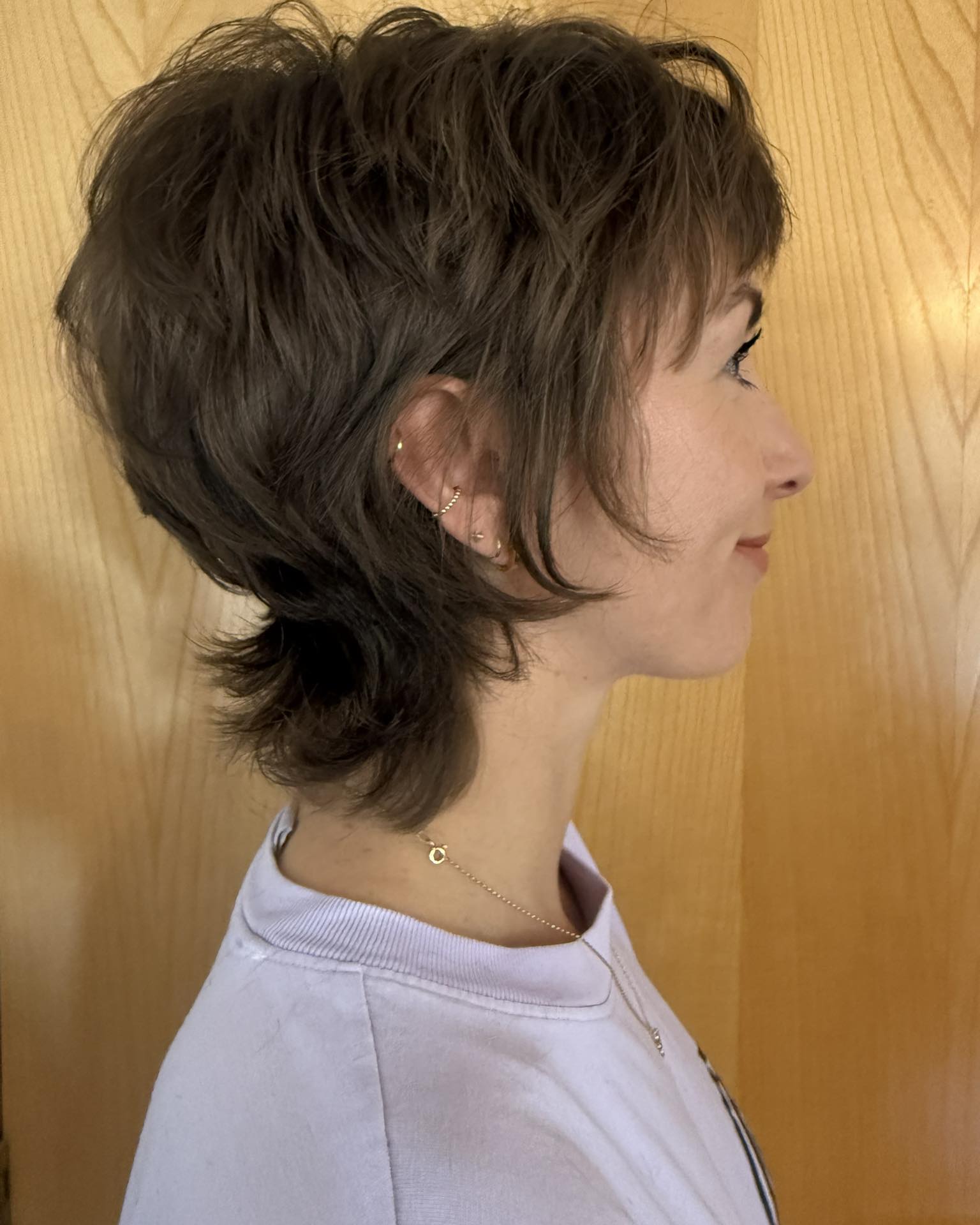Chic Chestnut Shag with Delicate Fringe