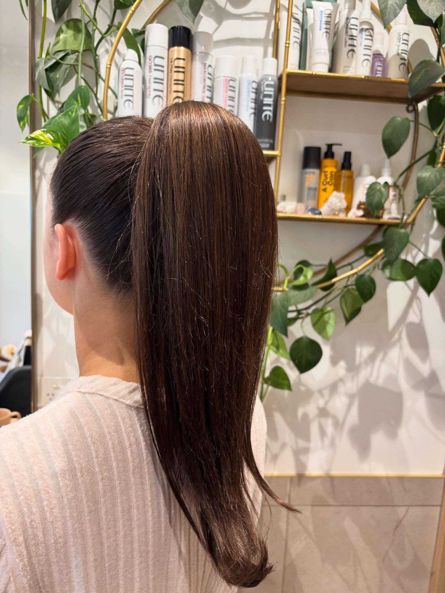 Glossy High Ponytail with Rounded Blunt Tip and Subtle Internal Layering