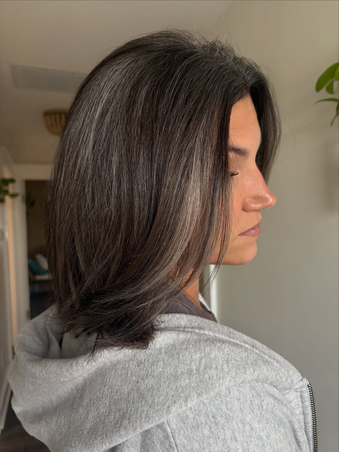 Medium Feathered Brunette with Natural Silver Face Frame