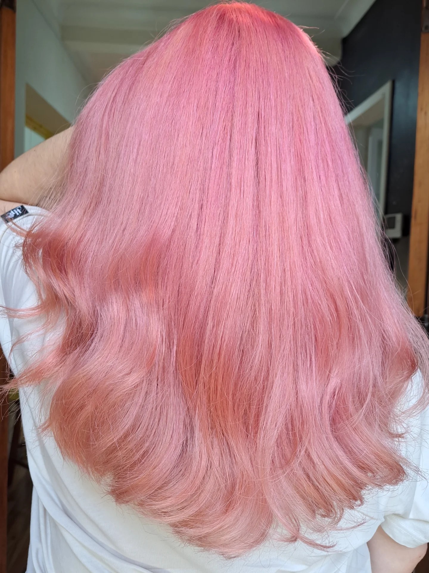 Soft Pastel Rose Long Cut with Blended Peachy Ends