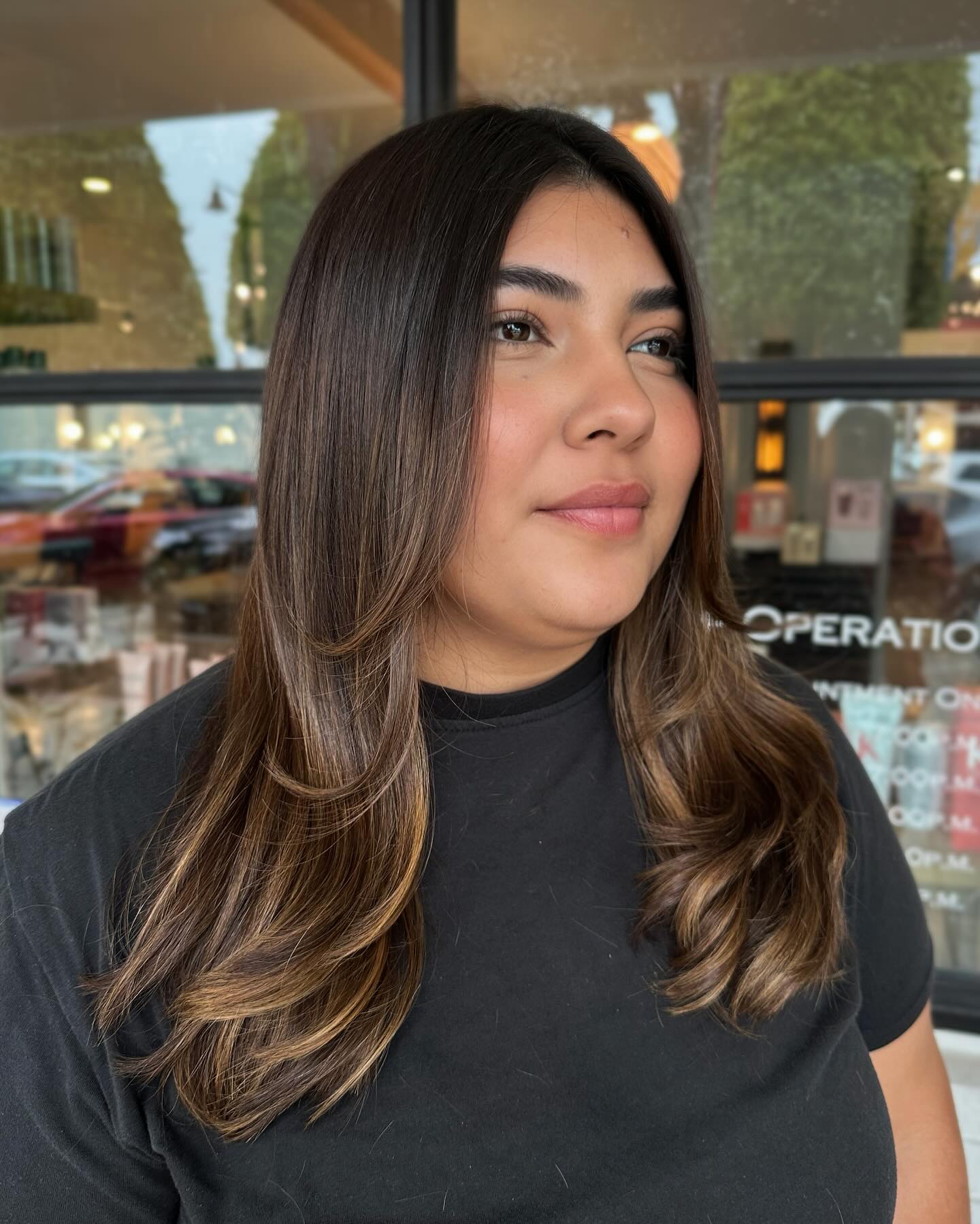 Long Rounded Layers with Rooted Balayage and Face-Framing