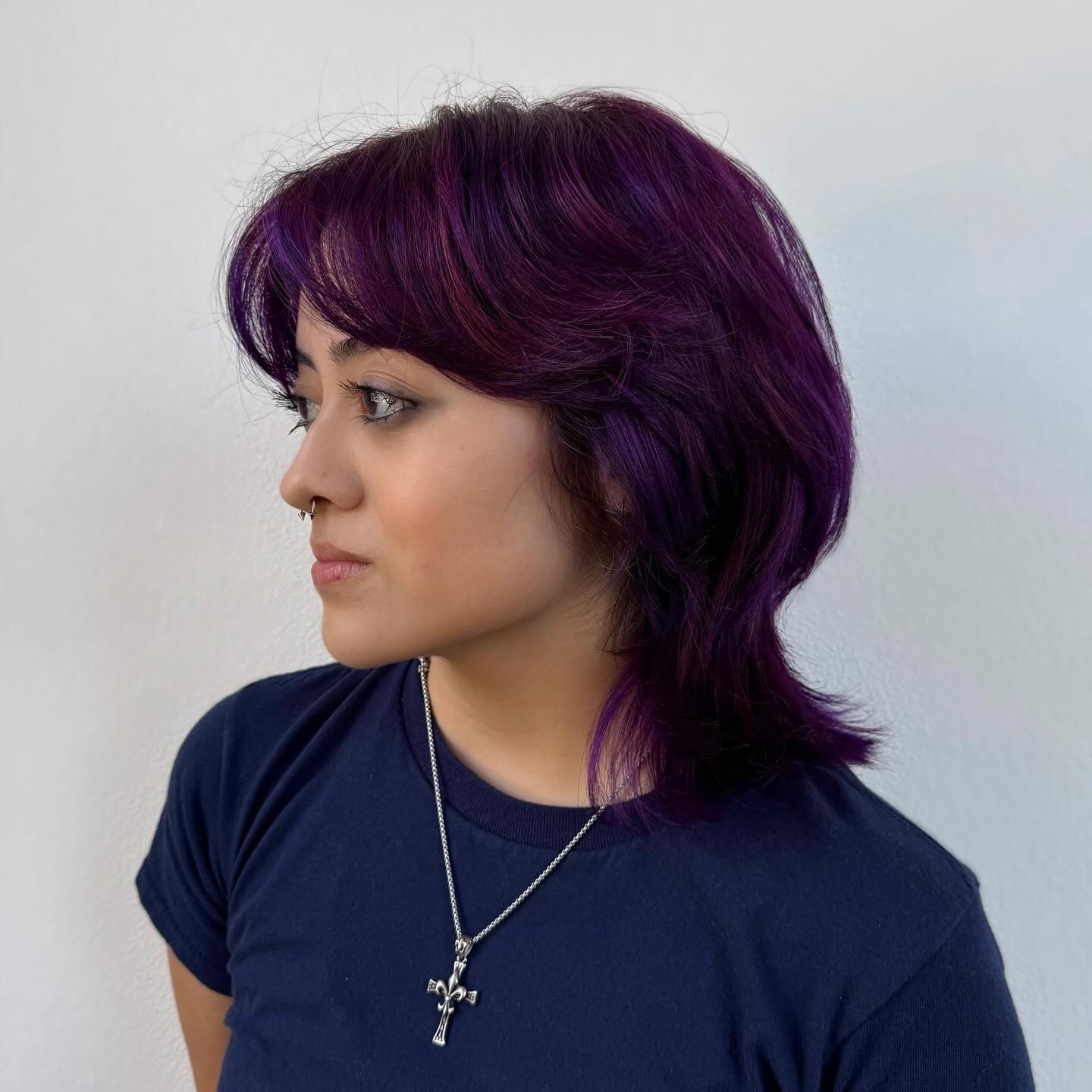 Plum Feathered Shag with Brushed Curtain Fringe