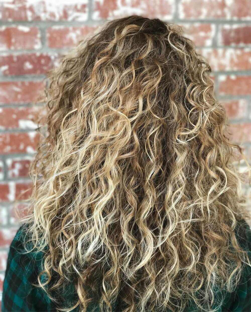 Luscious Curly Brown Hair With Blonde Highlights