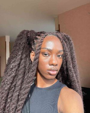 Kinky Twists: 20 Hottest Ways to Get It In 2024