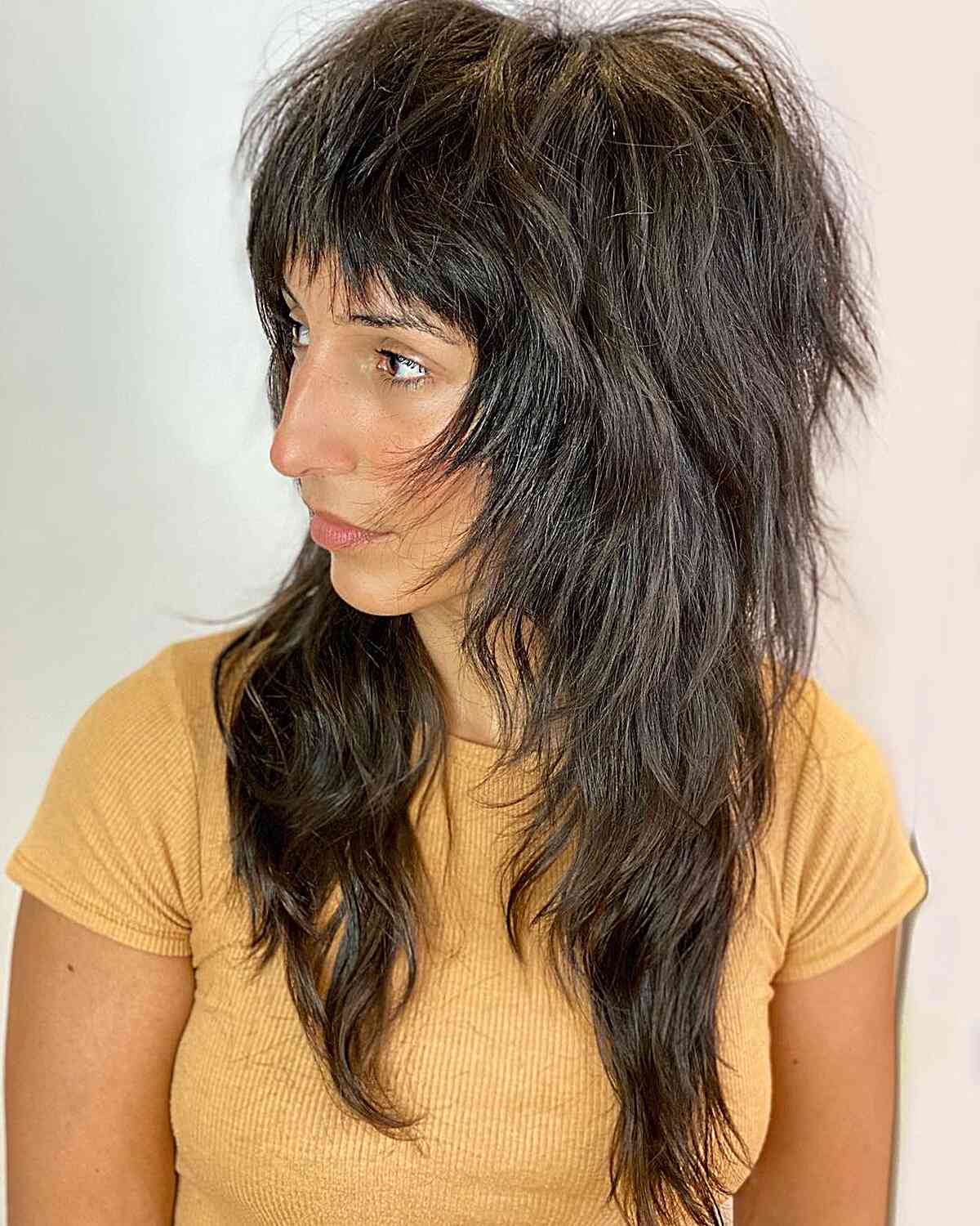 60s-Inspired Long Shag Hairstyle for Thick Hair, Ideal for Women with Layered Styles