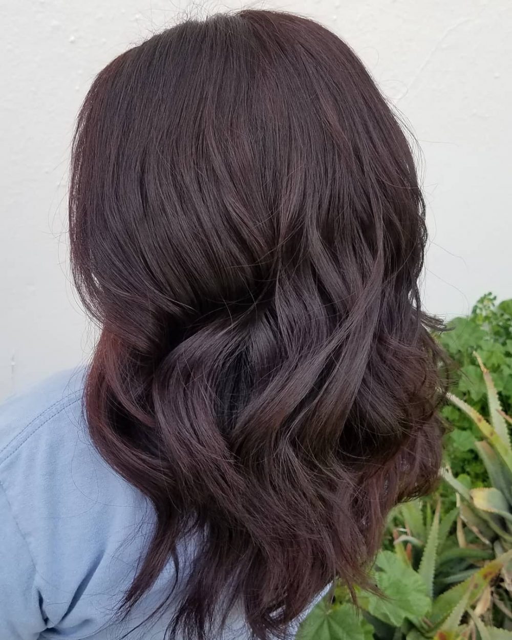 Bold Dark Brown Burgundy