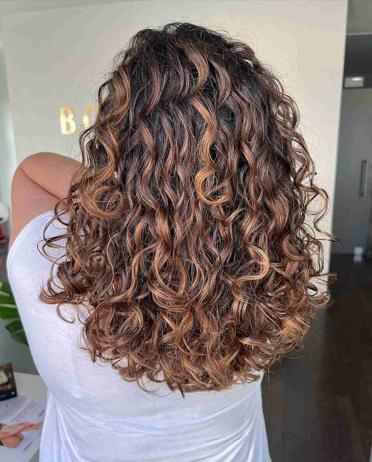 Chestnut Brown Balayage on Lush Curly Hair