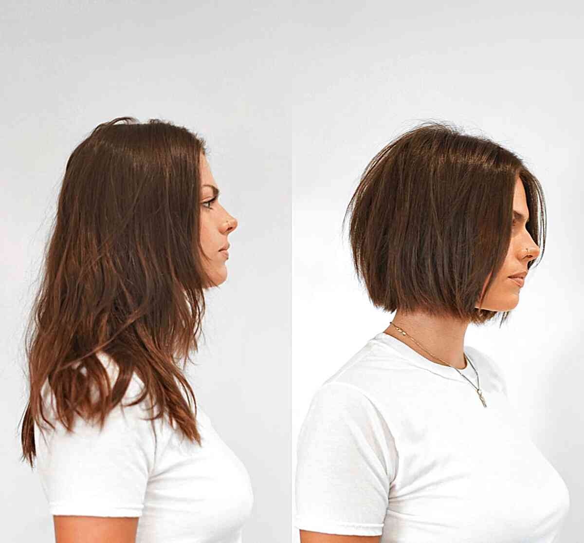 Chin-Length Chestnut Brown Blunt Bob Hairstyle