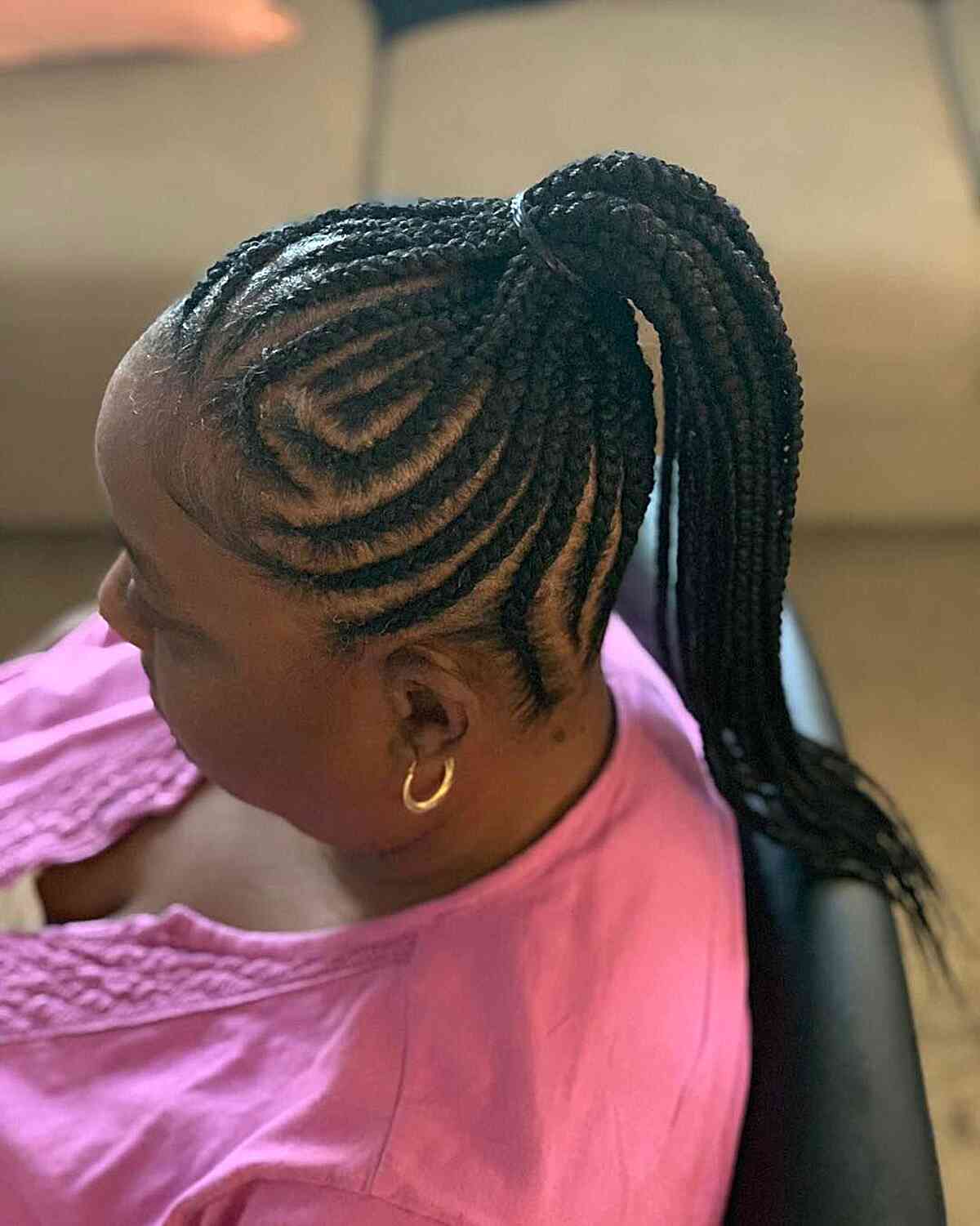 Chic Braided Ponytail